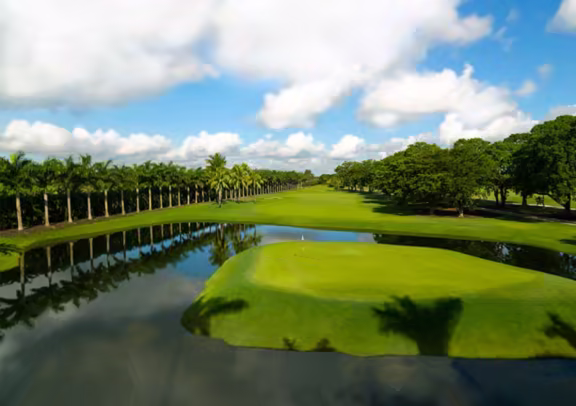 Image Golden Palm Courses